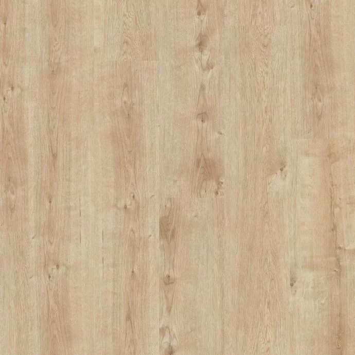 Champagne Oak 9874